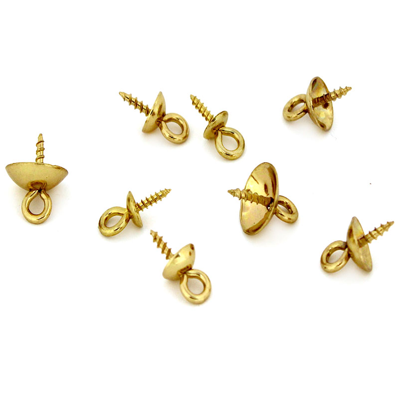 20Pcs Stainless Steel Clasps H - Jewelry Making Eye Pins review and price